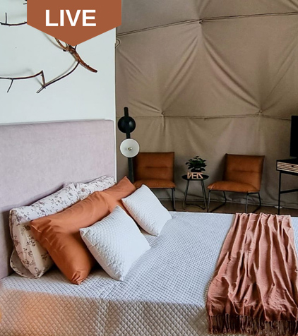 live_home