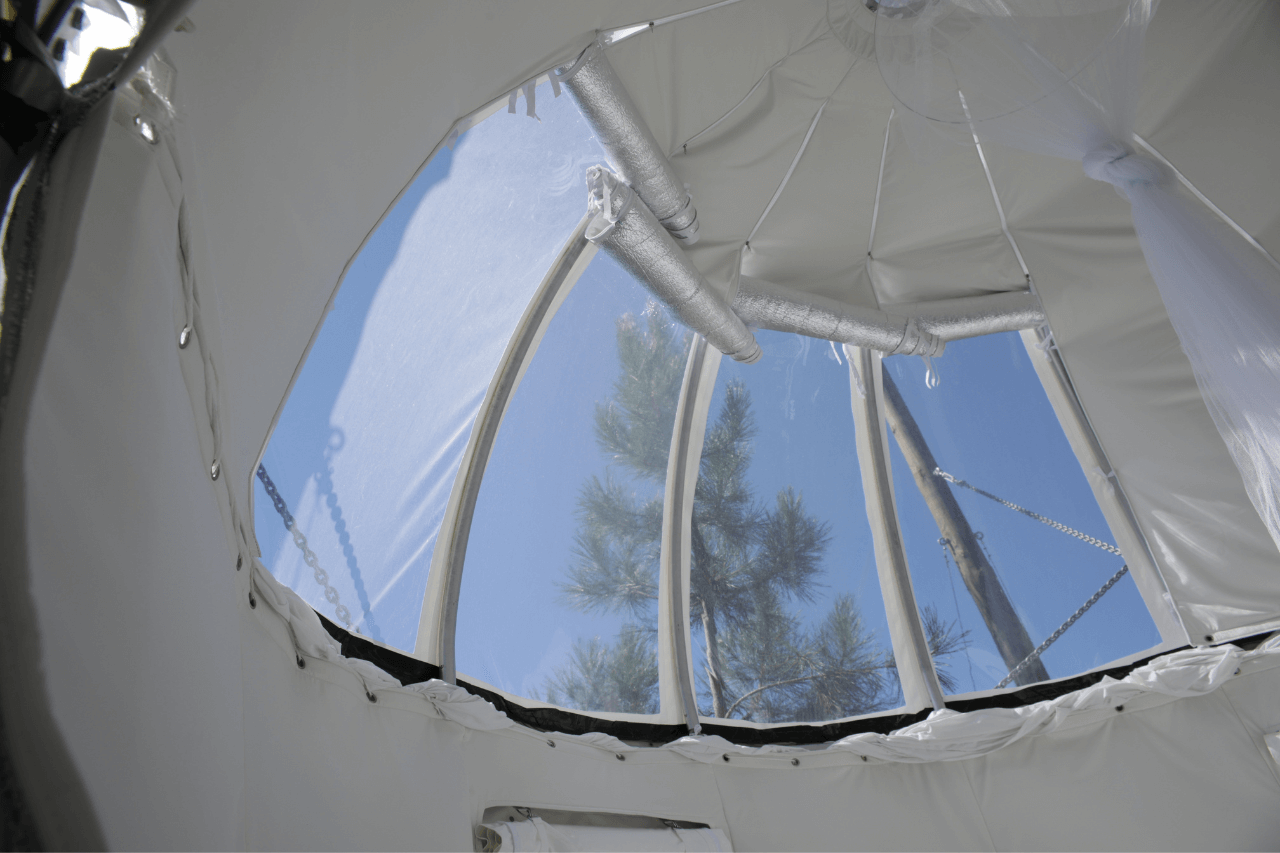Cocoon Forro interior